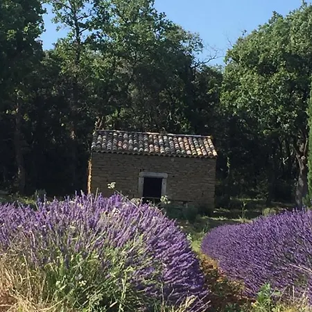 Villa Du Figuier